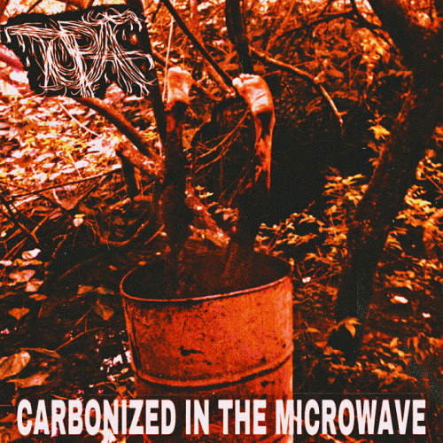 Tupã : Carbonized in the Microwave Tupã : Carbonized in the Microwave